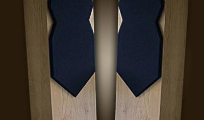 Avalon NP2 Evolution loudspeaker