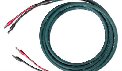 Cardas Audio Parsec