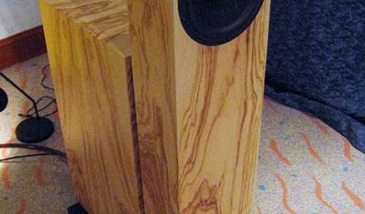 finite elemente Modul LS semi-active dynamic loudspeakers*