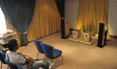 finite elemente Modul LS speakers and Zanden 9600 mono amplifiers*